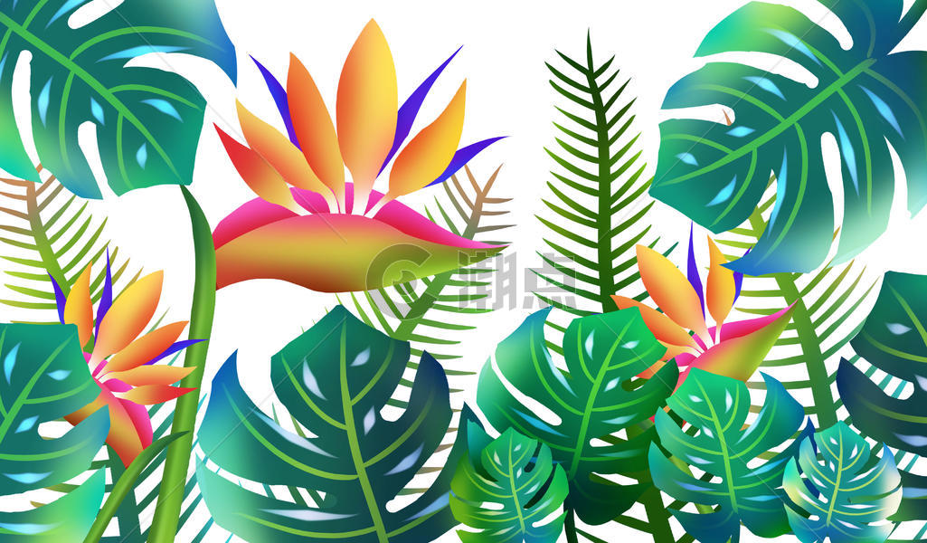 热带植被图片素材免费下载