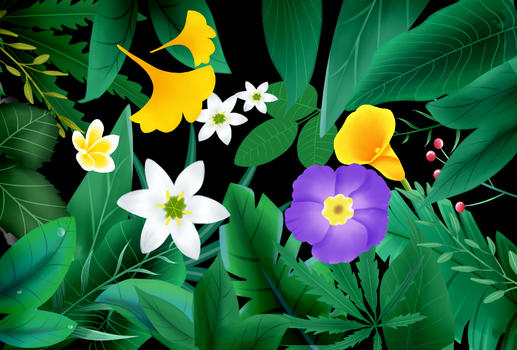 花卉植物图片素材免费下载