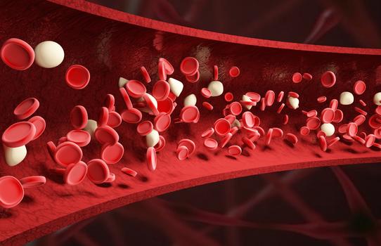 血红细胞血管场景图片素材免费下载