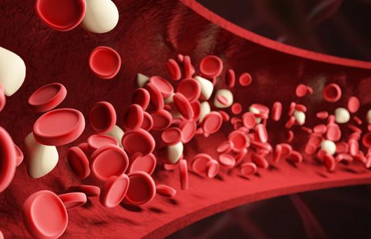 血红细胞血管场景图片素材免费下载