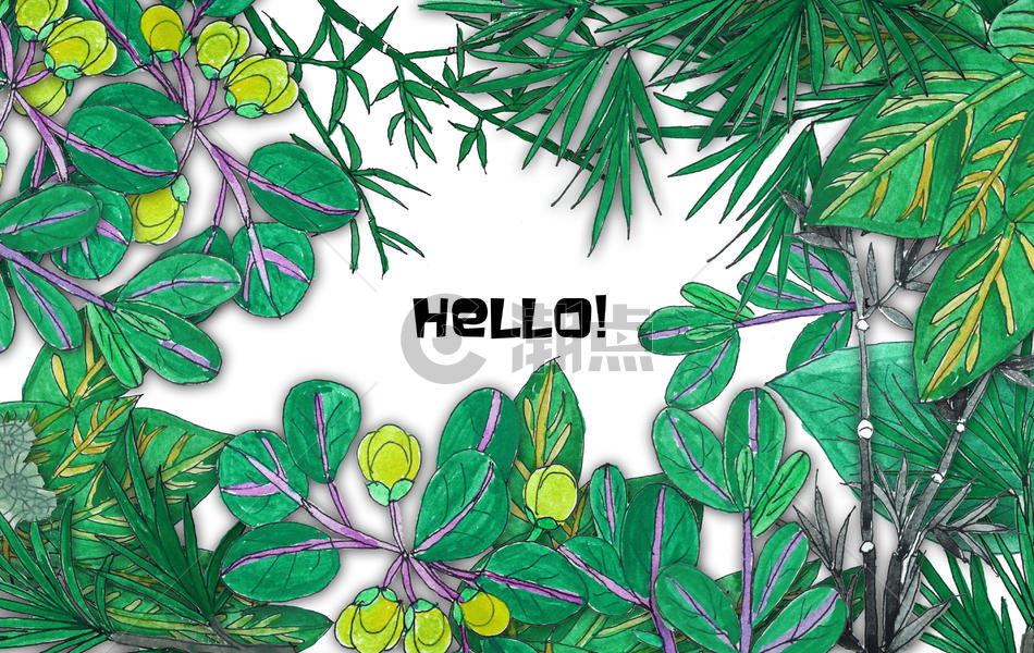 手绘水彩热带植物图片素材免费下载