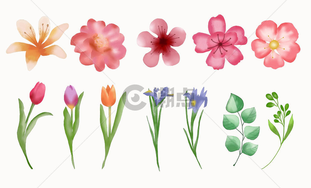 水彩花朵元素图片素材免费下载