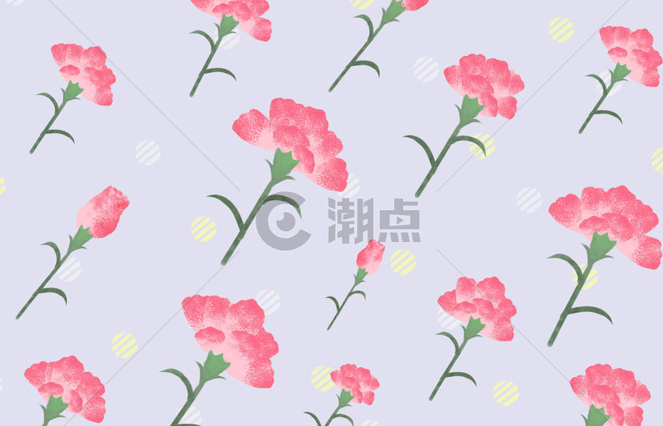 康乃馨花卉背景图片素材免费下载