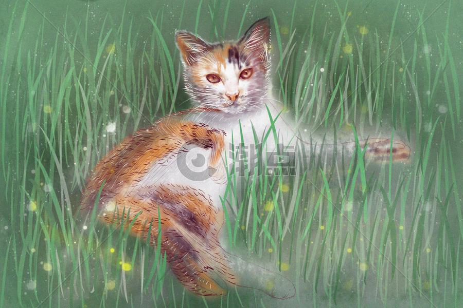 夏至懒洋洋的猫咪图片素材免费下载