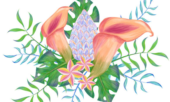 手绘热带花朵图片素材免费下载