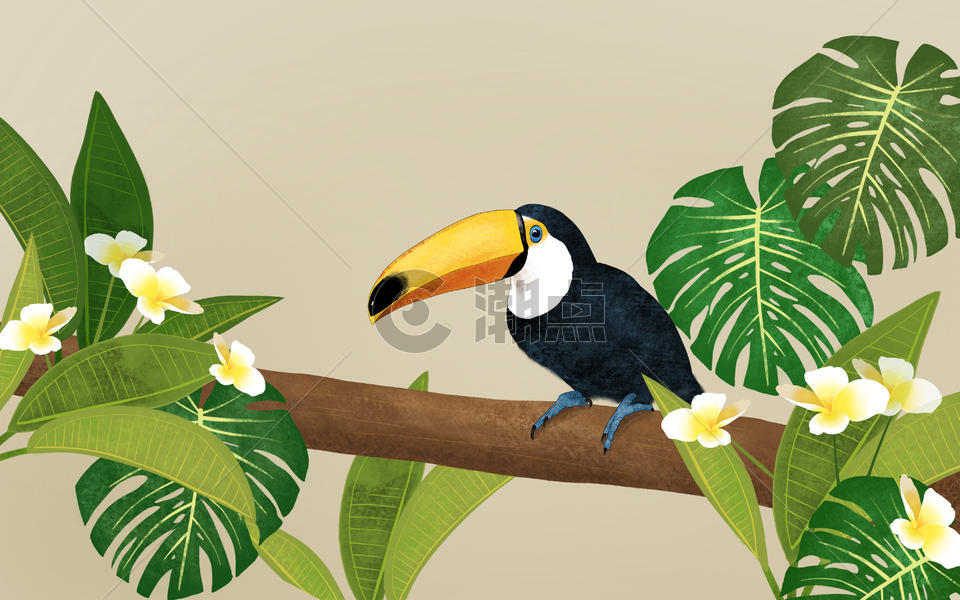 大嘴鸟热带植物背景图片素材免费下载