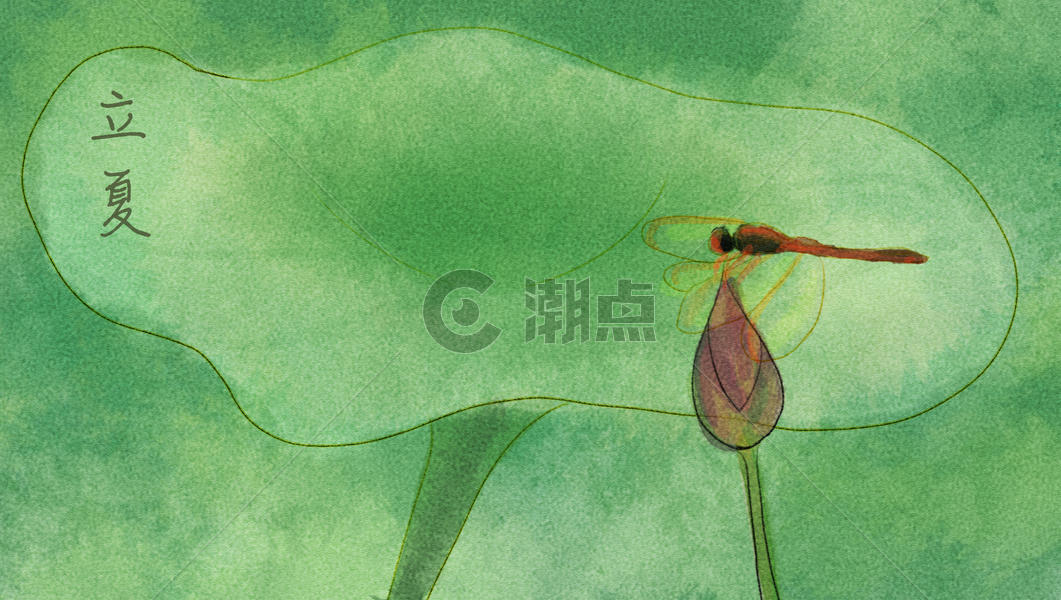 立夏蜻蜓荷叶背景图片素材免费下载