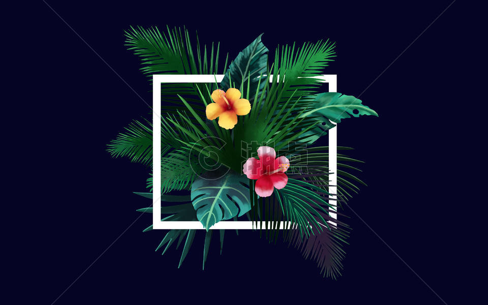 热带植物装饰框背景图片素材免费下载
