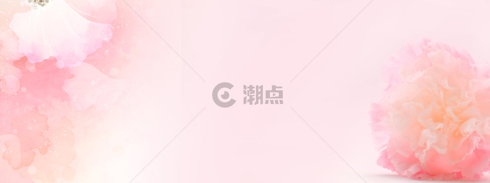 母亲节粉红色康乃馨背景图片素材免费下载