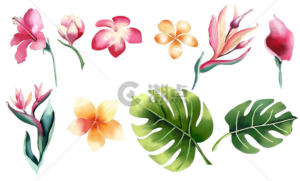 手绘花朵树叶素材图片素材免费下载