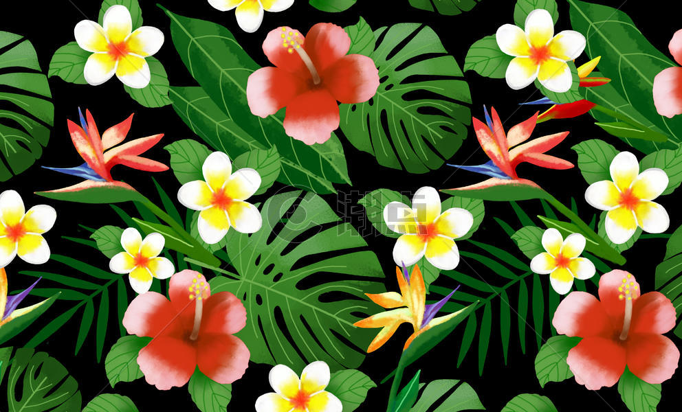 夏天热带植物背景图片素材免费下载