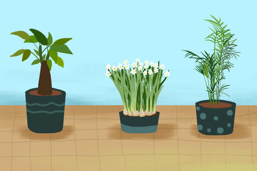 手绘植物素材图片素材免费下载