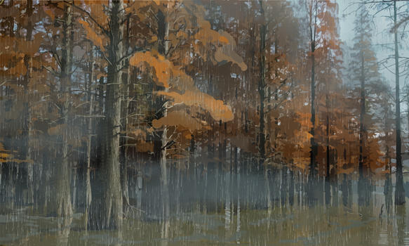 雨来的森林图片素材免费下载
