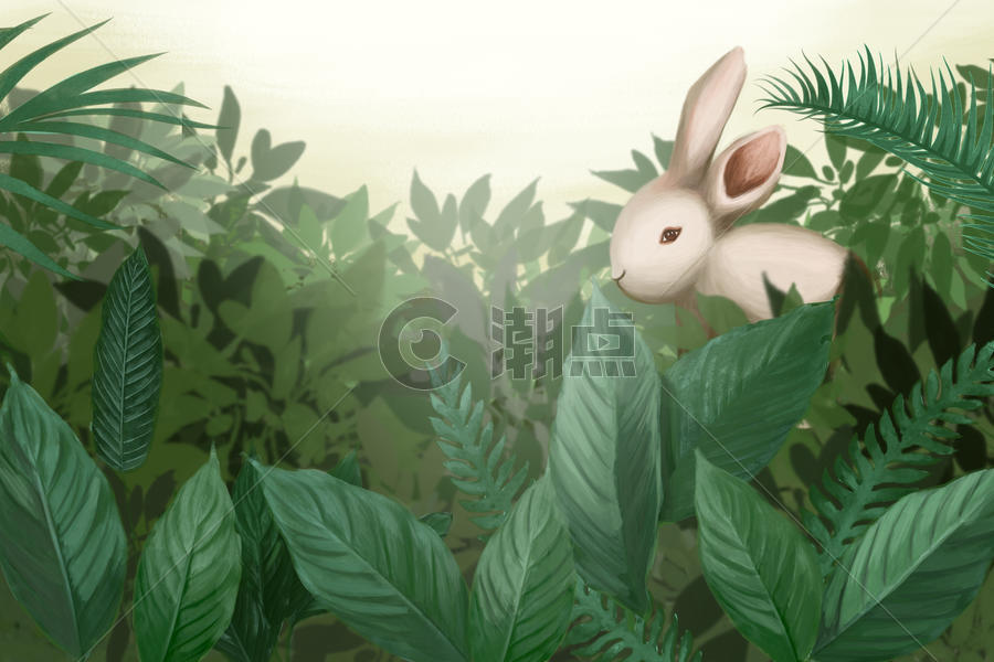 森林小兔子图片素材免费下载