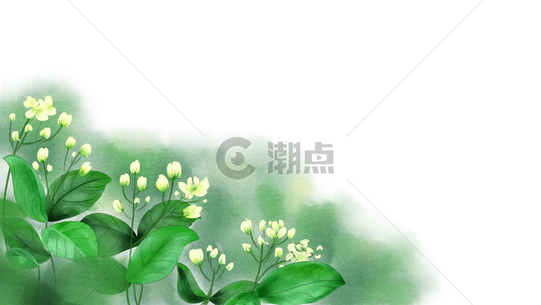 夏日茉莉花卉背景图片素材免费下载