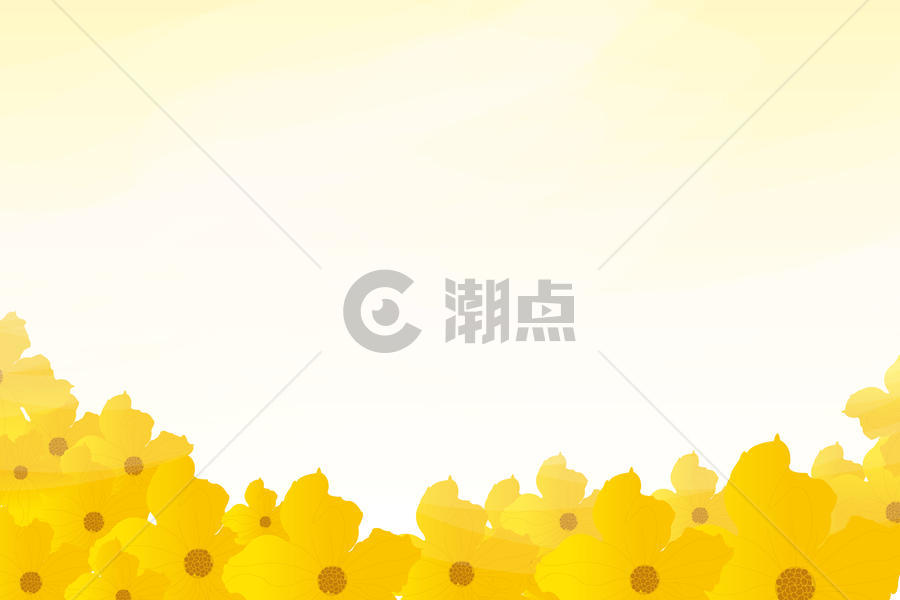 花卉banner背景图片素材免费下载