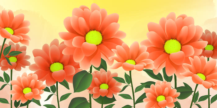 太阳花插图图片素材免费下载