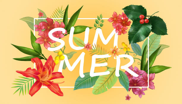 夏天花卉背景图片素材免费下载