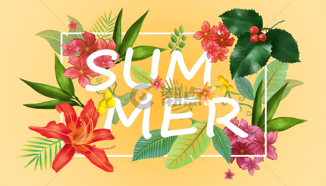 夏天花卉背景图片素材免费下载