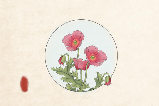 中国风工笔花卉图片素材免费下载