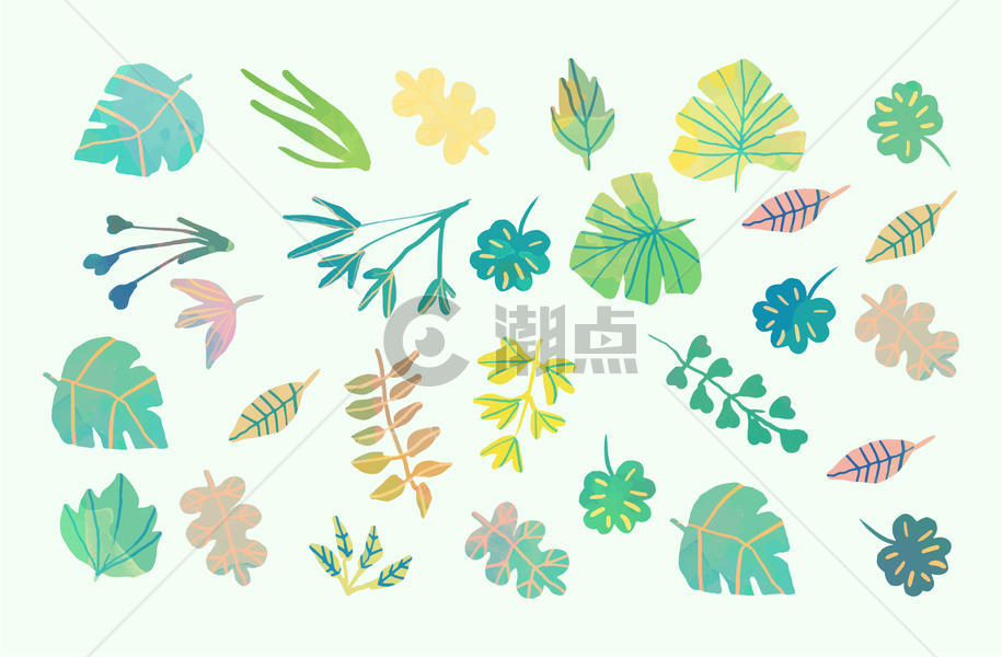 植物花卉叶子背景图片素材免费下载