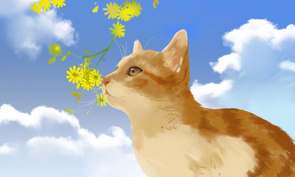 猫咪与花朵图片素材免费下载