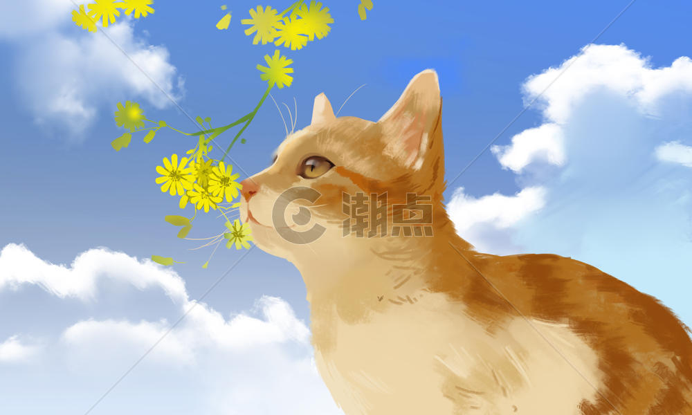 猫咪与花朵图片素材免费下载
