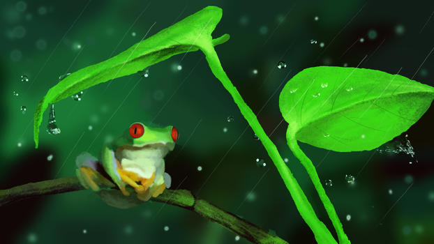 下雨天蛙鸣图片素材免费下载