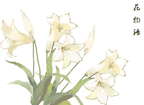 百合花卉背景元素图片素材免费下载
