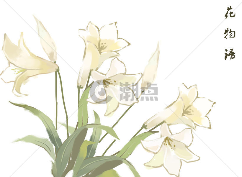 百合花卉背景元素图片素材免费下载