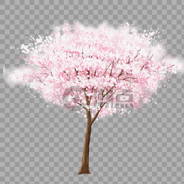 樱花树图片素材免费下载