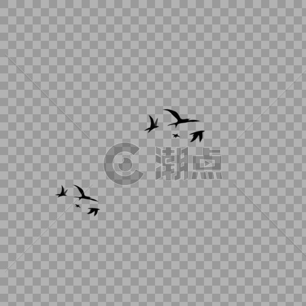 飞翔的鸟图片素材免费下载