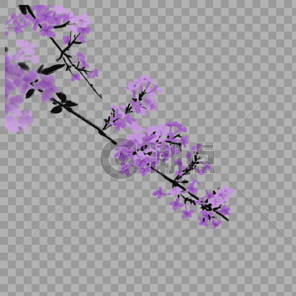 紫色的花图片素材免费下载