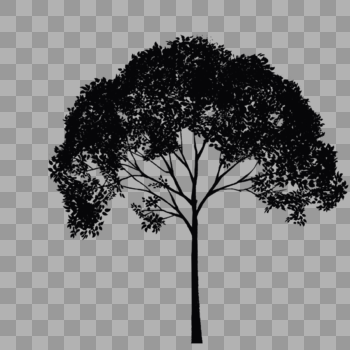 大树的剪影图片素材免费下载