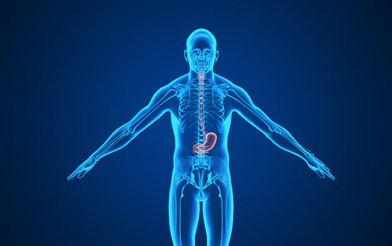人体胃部背景图片素材免费下载