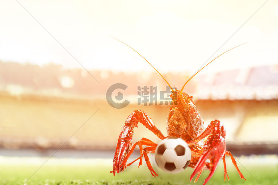 小龙虾的世界杯图片素材免费下载