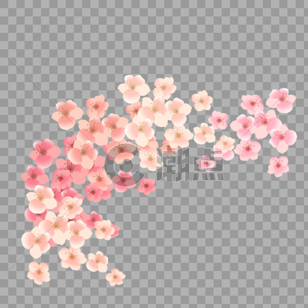 粉色花卉素材图片素材免费下载