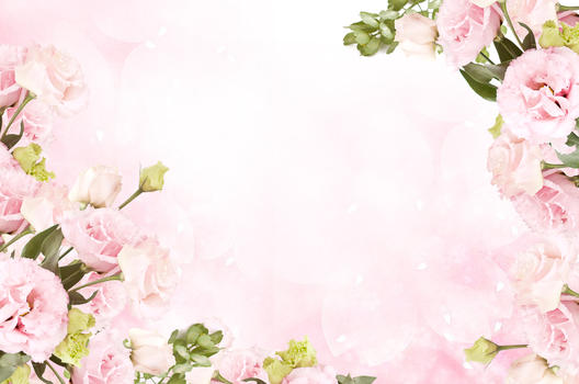 浪漫花卉背景图片素材免费下载