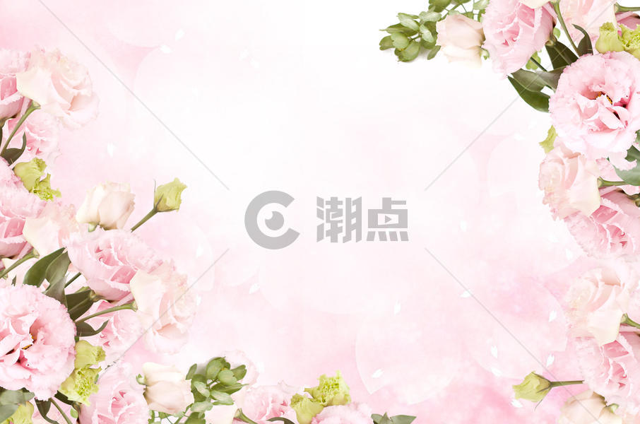 浪漫花卉背景图片素材免费下载