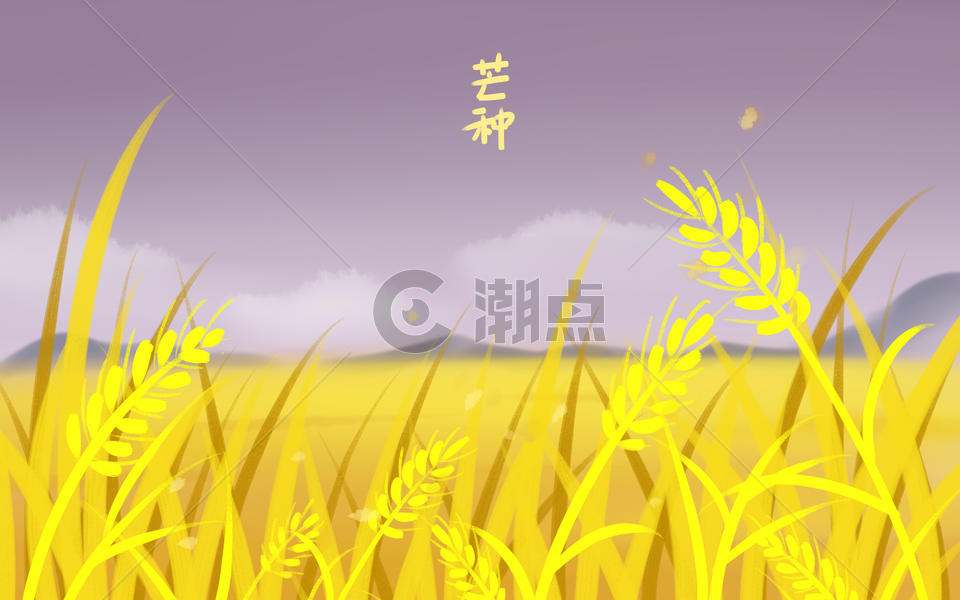 芒种的稻田图片素材免费下载