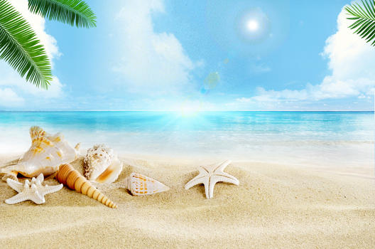 夏日沙滩背景图片素材免费下载
