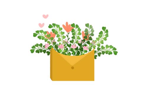 植物花卉信件图片素材免费下载