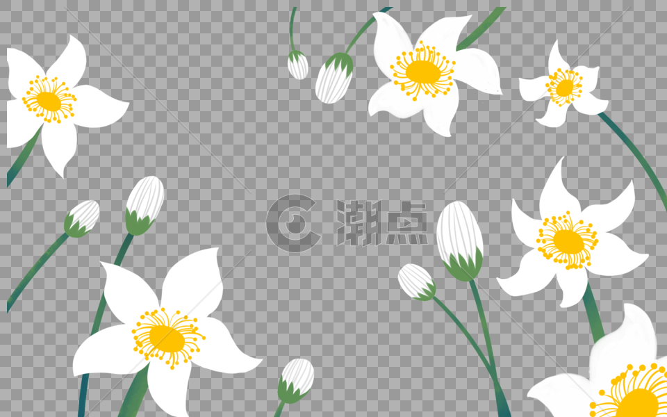 花卉图片素材免费下载