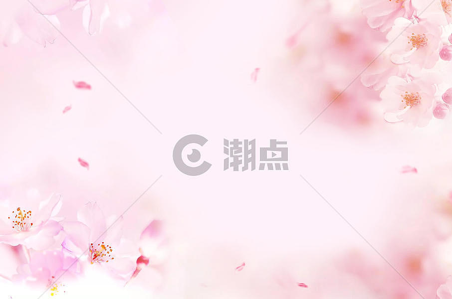 粉色花朵清新背景图片素材免费下载
