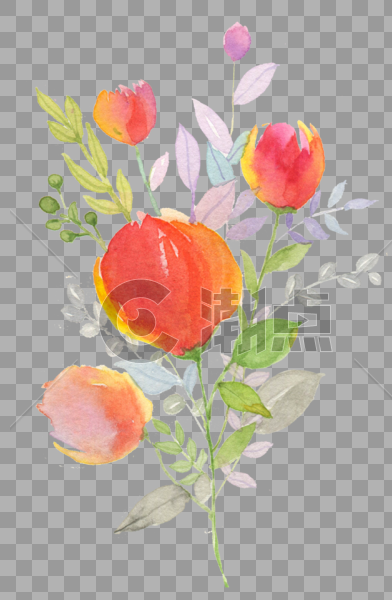 手绘 植物 花卉图片素材免费下载
