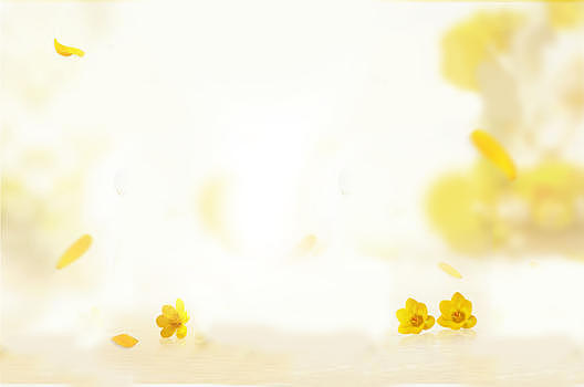 黄色清新花背景图片素材免费下载