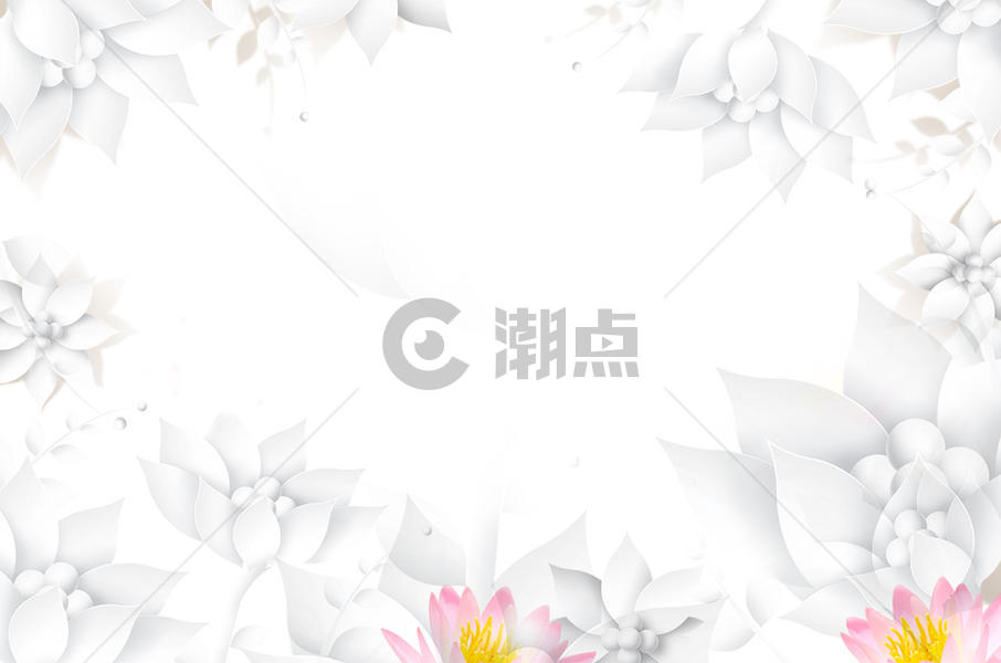 花朵清新白色背景图片素材免费下载