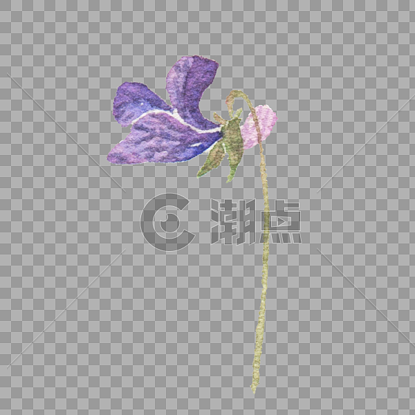 手绘紫色鲜花图片素材免费下载