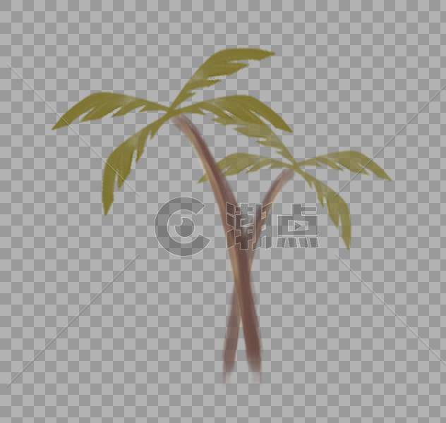 热带椰子树图片素材免费下载