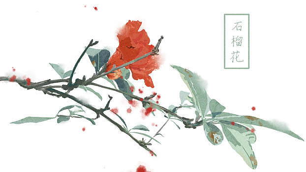中国风手绘石榴花背景图片素材免费下载